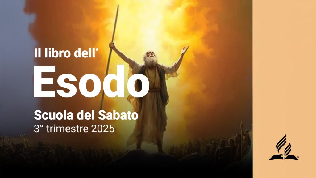 Accedi alle risorse del trimestre