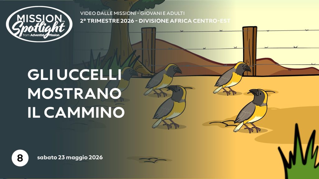 Video Missioni - n. 08 - II trimestre 2026