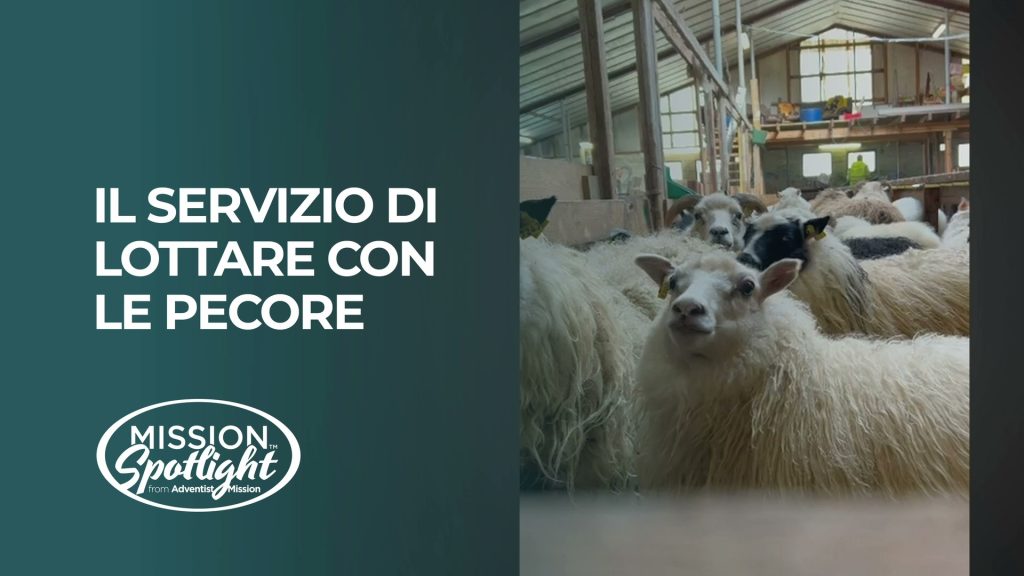 Video Missioni - n. 12 - IV trimestre 2026